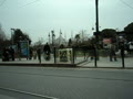 イスタンブルといえばブルーモスク、行き交うトラムの向こうで堂々とそびえています。